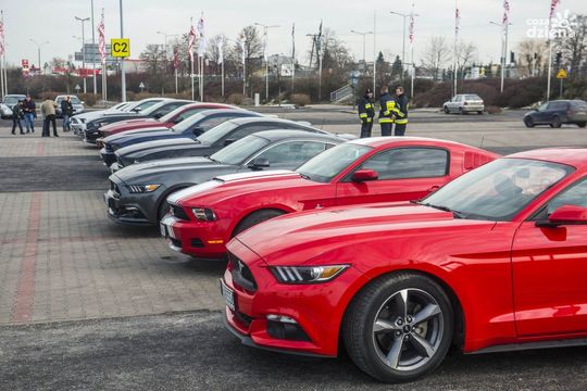 Weekend w obiektywie