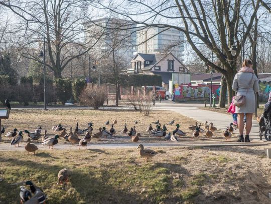 Kilka słonecznych dni