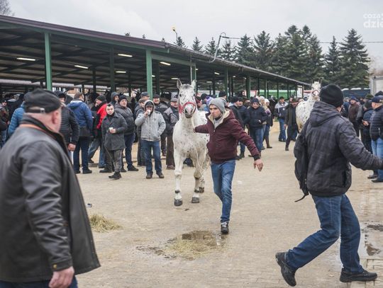 Wstępy w Skaryszewie (zdjęcia)