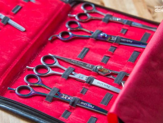 Weekend w obiektywie