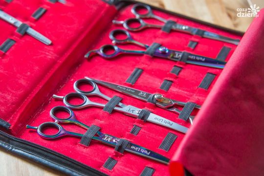 Weekend w obiektywie