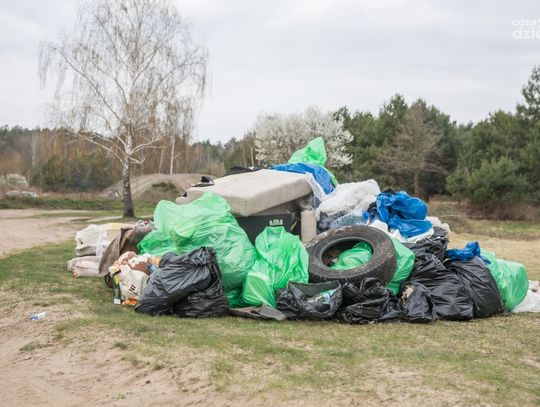 Weekend w obiektywie