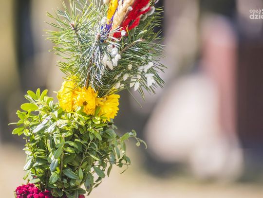 Weekend w obiektywie