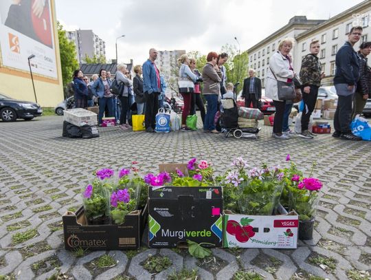 Weekend w obiektywie