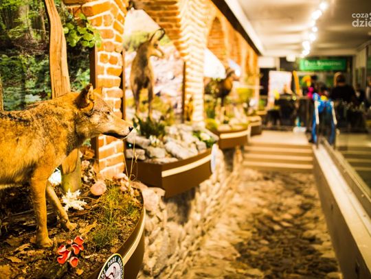 Weekend w obiektywie