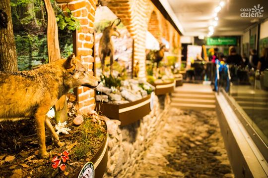 Weekend w obiektywie