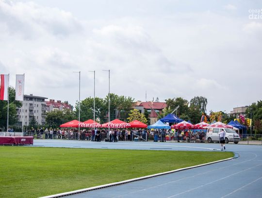 X Piknik Organizacji Pozarządowych (zdjęcia)