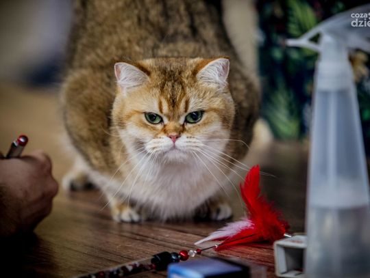 Weekend w obiektywie