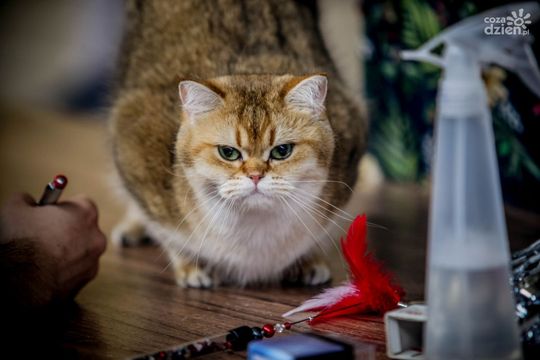 Weekend w obiektywie