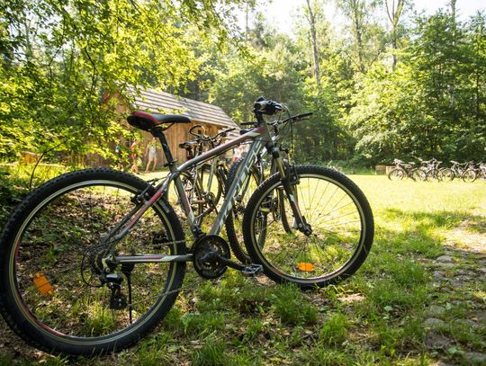 "Rowerem do kultury" w Muzeum Wsi Radomskiej (zdjęcia) "Rowerem do kultury" w Muzeum Wsi Radomskiej (zdjęcia)