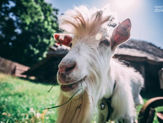 Weekend w obiektywie