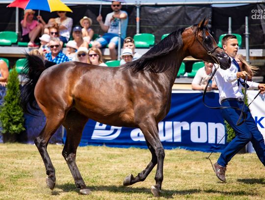 Weekend w obiektywie