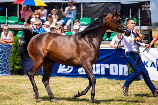 Weekend w obiektywie