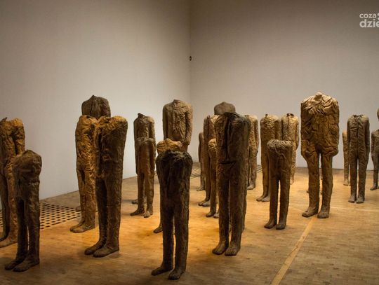 Weekend w obiektywie