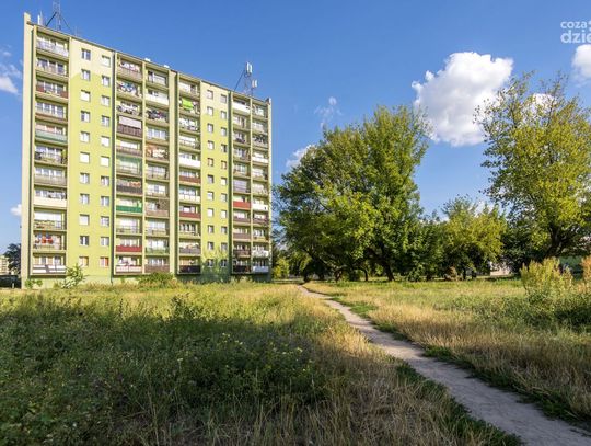 Na XV-leciu powstanie teren rekreacyjny (zdjęcia) Na XV-leciu powstanie teren rekreacyjny (zdjęcia)