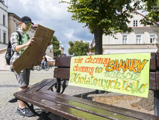 Wakacyjny strajk klimatyczny (zdjęcia)