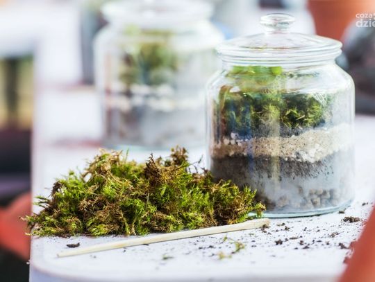 Weekend w obiektywie