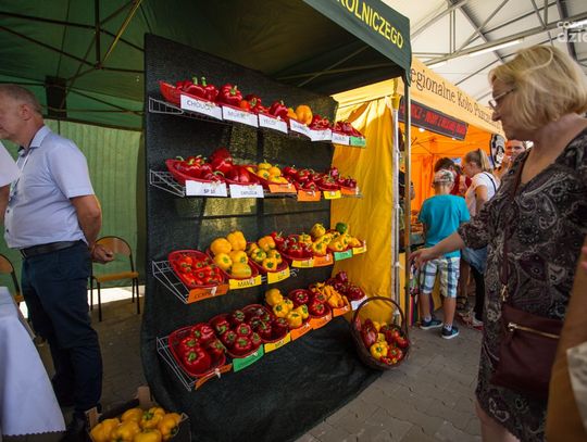 Weekend w obiektywie