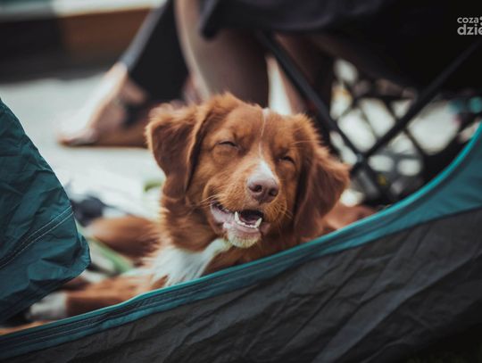 Weekend w obiektywie