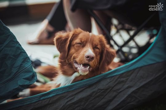 Weekend w obiektywie Weekend w obiektywie