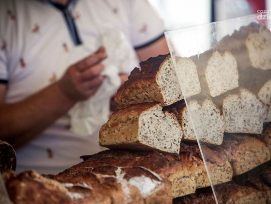 Weekend w obiektywie