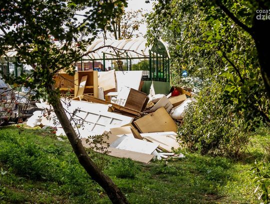 Wysypisko poremontowych śmieci przy ulicy Lipskiej (zdjęcia) Wysypisko poremontowych śmieci przy ulicy Lipskiej (zdjęcia)