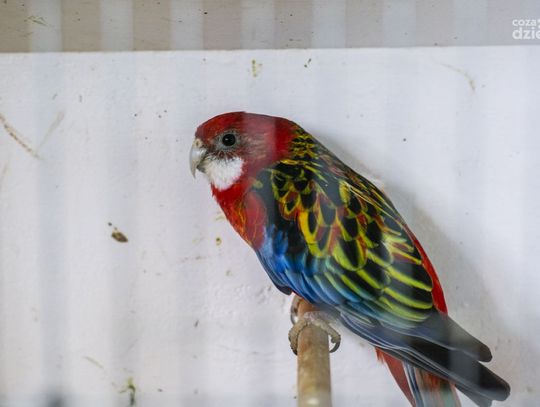 Weekend w obiektywie