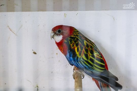 Weekend w obiektywie Weekend w obiektywie