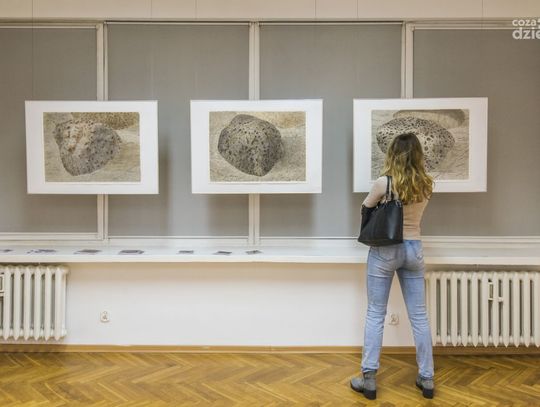 "Rozmowa z kamieniami" - wystawa Małgorzaty Strzelec w Łaźni (zdjęcia)