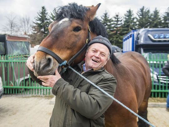 10 najczęściej oglądanych galerii 2019