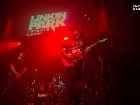 Muzyczny Radom - przegląd zdjęć koncertowych 2019 