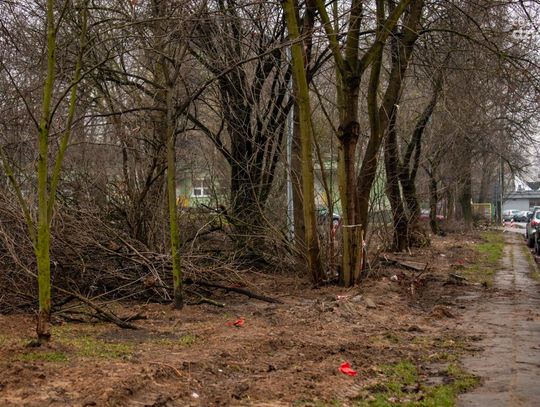 Początek prac na skwerze przy Bema/Jasińskiego/Sowińskiego (zdjęcia)