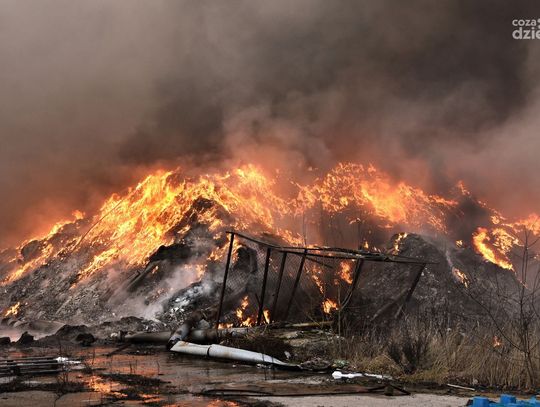 Weekend w obiektywie