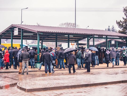 Skaryszewskie Wstępy 2020 (zdjęcia)