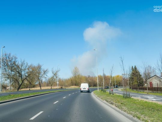 Pożar traw na Wincentowie (zdjęcia)