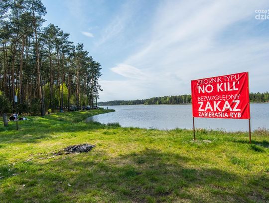 Niedzielne popołudnie nad zalewem w Jagodnie (zdjęcia)