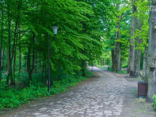 Niedziela w Muzeum Wsi Radomskiej (zdjęcia)