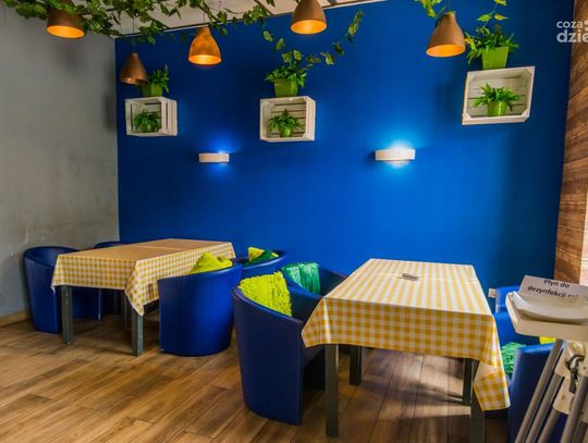 Radom Food Fest: Ancymonek (zdjęcia)