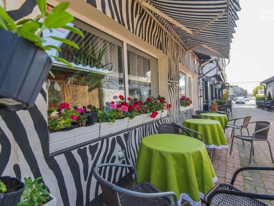 Radom Food Fest: Green Zebra (zdjęcia)