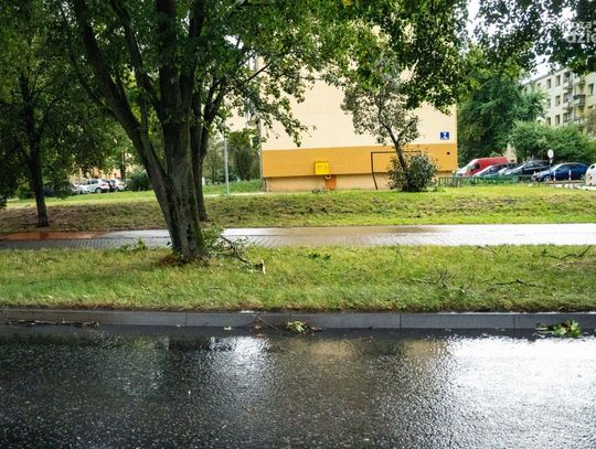 Skutki burzy nad Radomiem (zdjęcia) Skutki burzy nad Radomiem (zdjęcia)