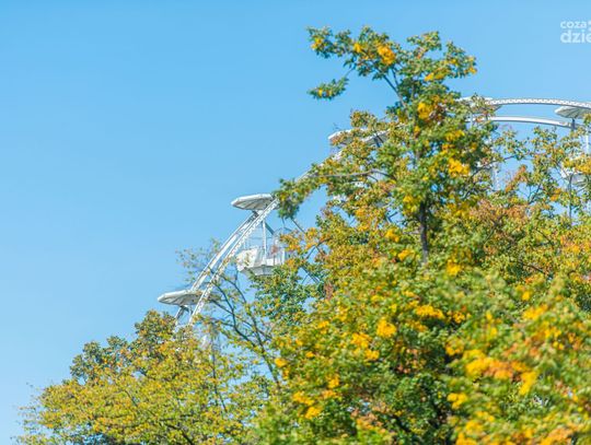 Koło widokowe na skwerze przy placu Jagiellońskim (zdjęcia)