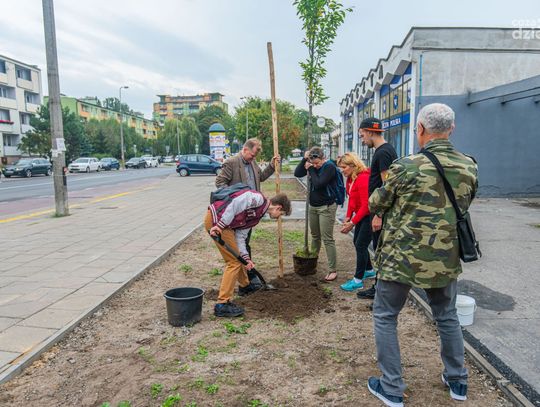Posadzili drzewa na dawnej wyspie ciepła (zdjęcia)