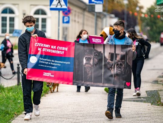 Tropem Nowego Domu (zdjęcia)