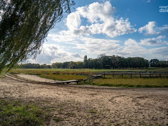 Zalew na Borkach - postęp prac (zdjęcia)