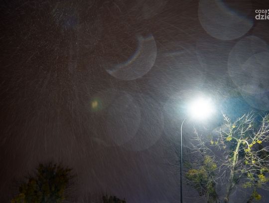 Pierwszy śnieg (zdjęcia)