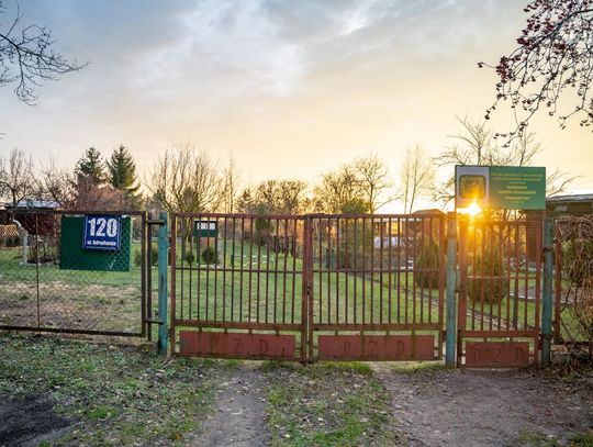 Ogródki działkowe przy przy ul. Odrodzenia (zdjęcia)