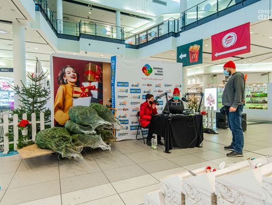 Choinki od Radia Rekord w Galerii Słonecznej (zdjęcia)