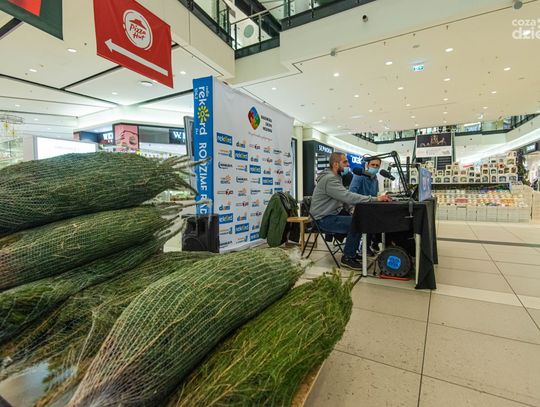 Choinki od Radia Rekord w Galerii Słonecznej (zdjęcia)