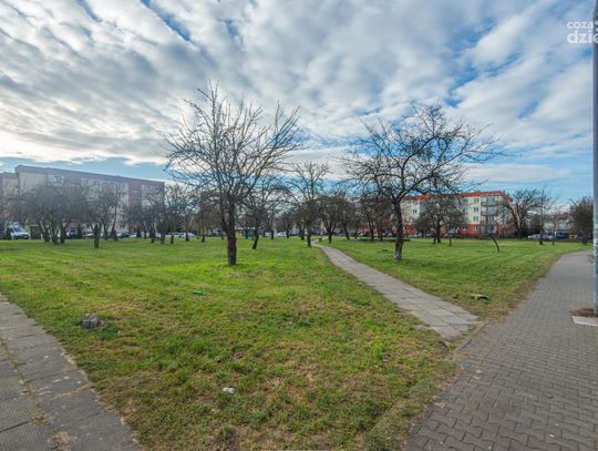Proponowany teren małego parku na Gołębiowie (zdjęcia)