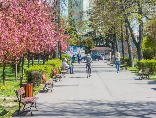 Co przyniósł 2020 rok? 